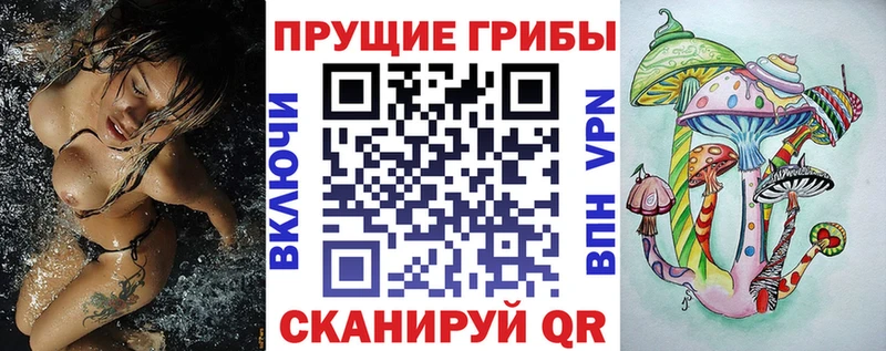 Галлюциногенные грибы Psilocybine cubensis  Пучеж 