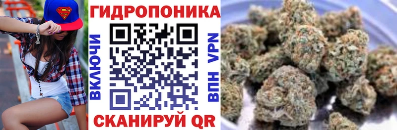 кракен ONION  Пучеж  Конопля LSD WEED 